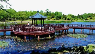 夏日圆明园免抠