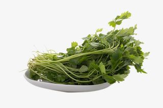 新鲜益母草免抠