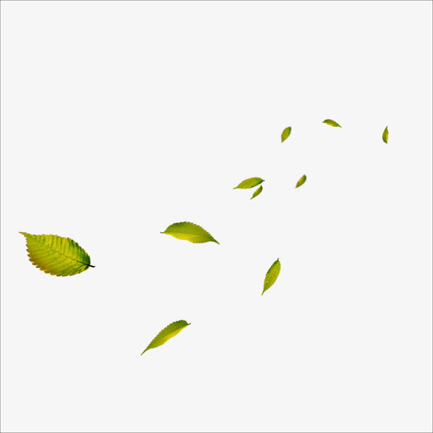 叶子免抠