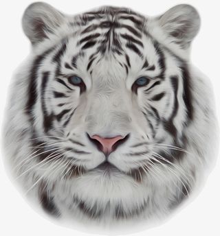 凶猛的老虎免抠