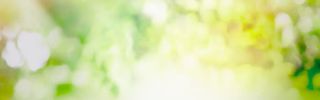 梦幻绿色背景banner