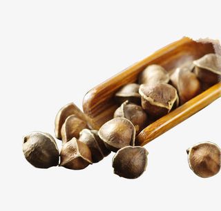 辣木籽原料免抠