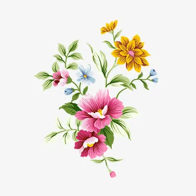 唯美花卉免抠