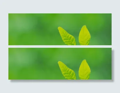 树叶素材免抠 树叶素材免抠