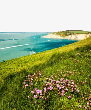 唯美大海和草地免抠