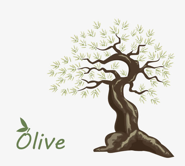 手绘橄榄树免抠