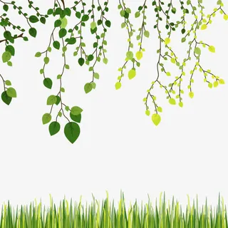 矢量春天绿叶免抠装饰植物元素 矢量春天绿叶免抠装饰植物元素