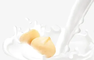 牛奶中的夏威夷果仁免抠