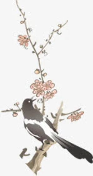 花鸟图淘宝促销页面免抠