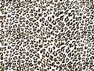 豹纹图案免抠