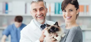 动物医院动物诊所背景高清