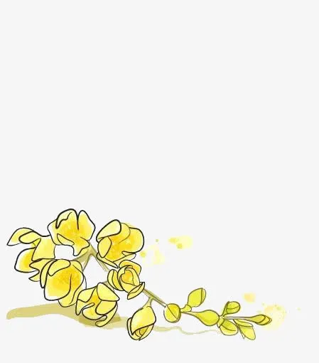 桂花免抠