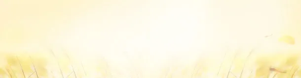 淘宝女装首页秋装海报促销banner