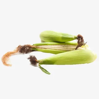 紫色的玉米流苏免抠