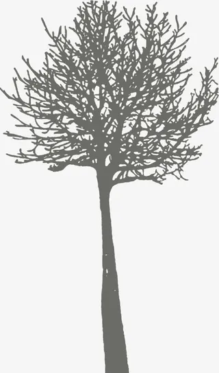 灰色手绘树枝装饰免抠