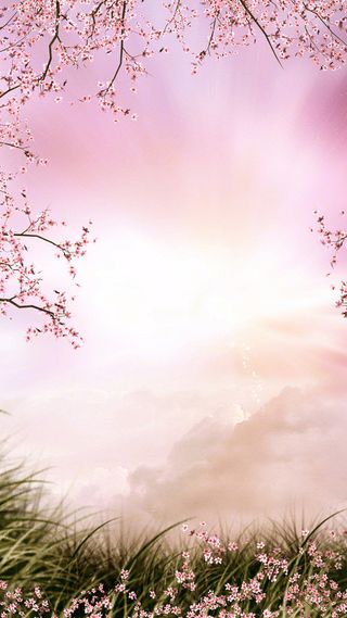 漫天粉色小花H5背景素材高清