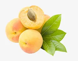 黄色桃子装饰免抠