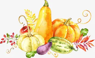 手绘蔬菜免抠