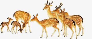 手绘油画小鹿风景免抠