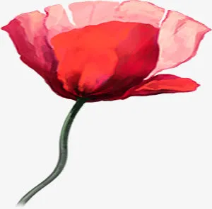 春天文艺红色手绘花朵免抠