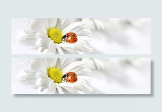 淘宝banner背景图