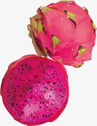 红心火龙果，水果，手绘，红色免抠