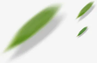 漂浮免扣朦胧叶子 png免抠