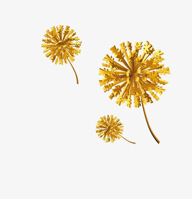 金币蒲公英免抠