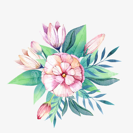 手绘花免抠
