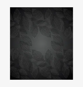 黑色清新树叶边框纹理免抠
