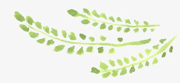 手绘植物柳条免抠