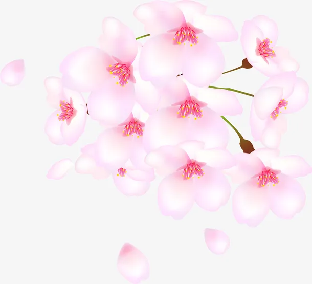 粉色中国风花枝植物免抠