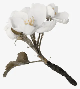 复古图片素材复古花纹素材免抠