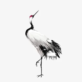 中国风白露丹顶鹤素材免抠 中国风白露丹顶鹤素材免抠