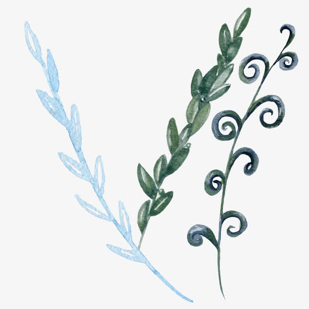 手绘艺术水彩植物叶子图案素材免抠