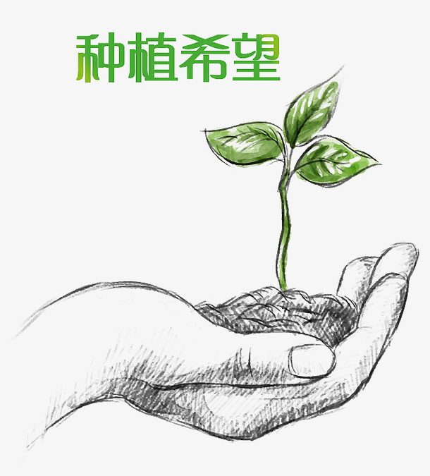 手掌中希望的种子免抠