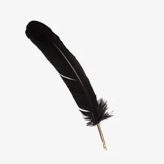 黑色羽毛笔免抠