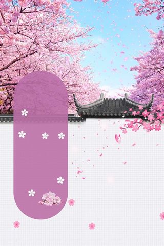 唯美春天醉美樱花节春季旅游高清