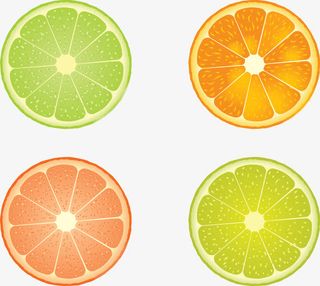 矢量四种卡通橙子柚子等切片免抠