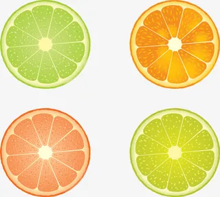 矢量四种卡通橙子柚子等切片免抠