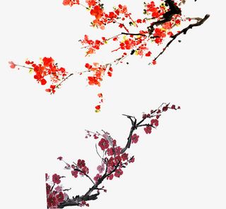 水墨梅花免抠