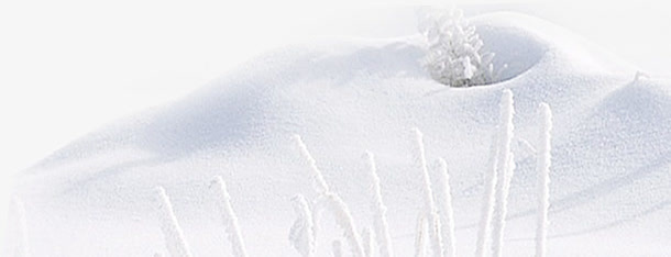 雪地浪漫冬季图片免抠