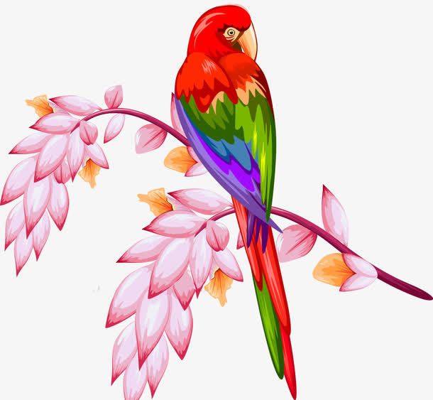 鹦鹉 鸟 花 春天免抠