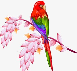 鹦鹉 鸟 花 春天免抠
