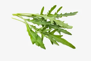 新鲜的芝麻叶免抠