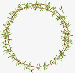 漂浮草藤条创意圈圈免抠