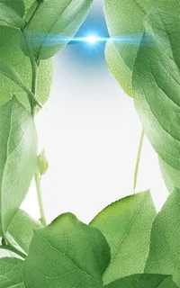 化妆品海报免抠 化妆品海报免抠