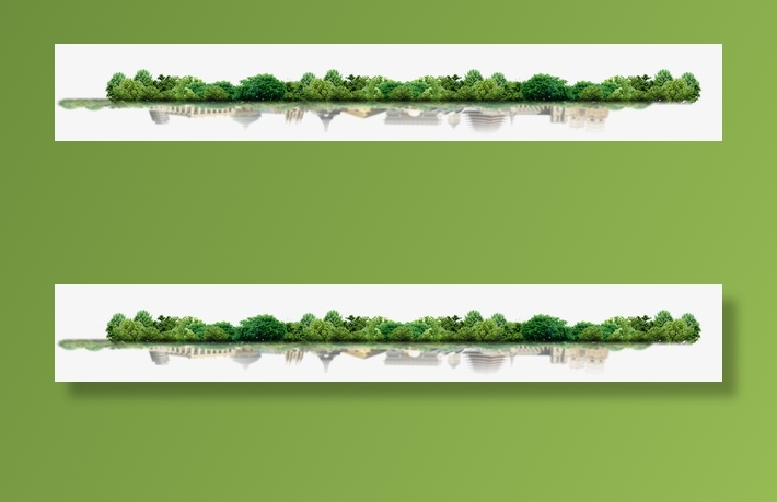 树木草木免抠动植物植物元素