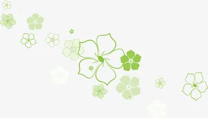 花瓣免抠