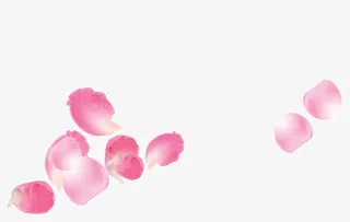 粉色唯美梦幻花瓣免抠